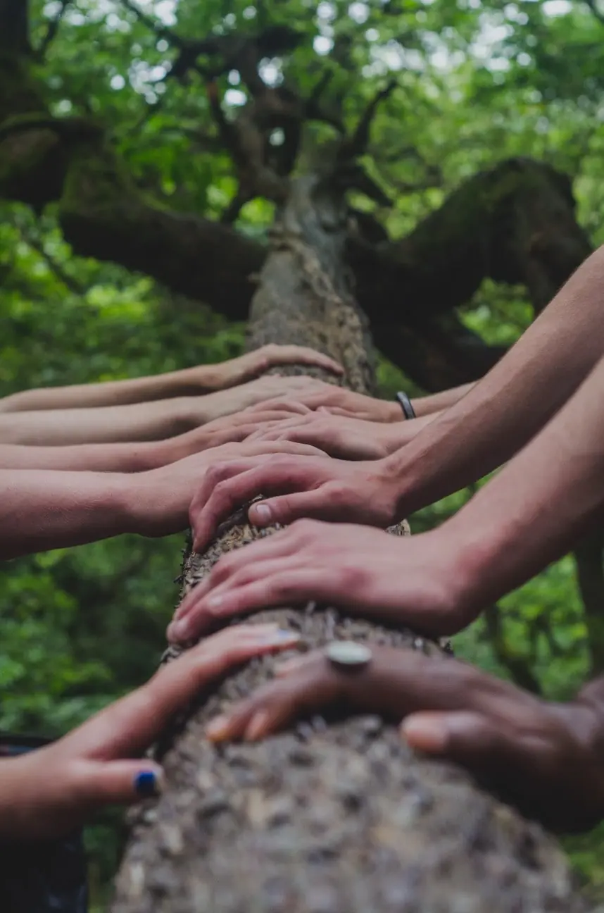 Mãos tocando a natureza