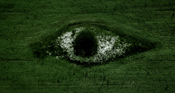 Olho com reflexo de natureza